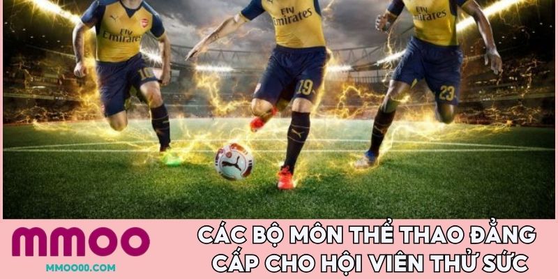 Các bộ môn thể thao đẳng cấp cho hội viên thử sức 