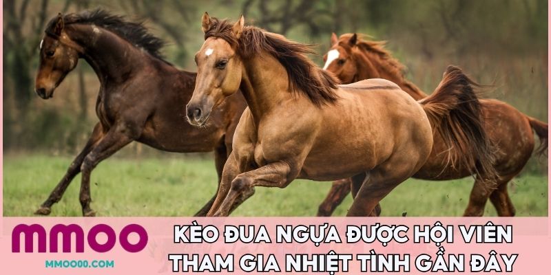 Kèo đua ngựa được hội viên tham gia nhiệt tình gần đây